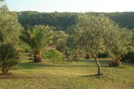 אורמוס פנגיאס Ases Villa Lagonisi Halkidiki מראה חיצוני תמונה